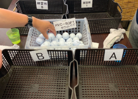 選別